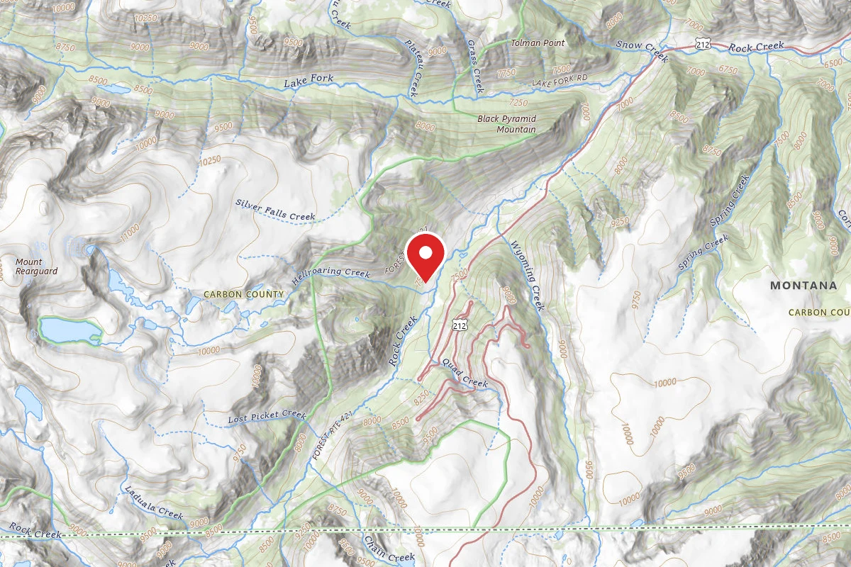 Custer Gallatin Dispersed Campsite BRD2421-050