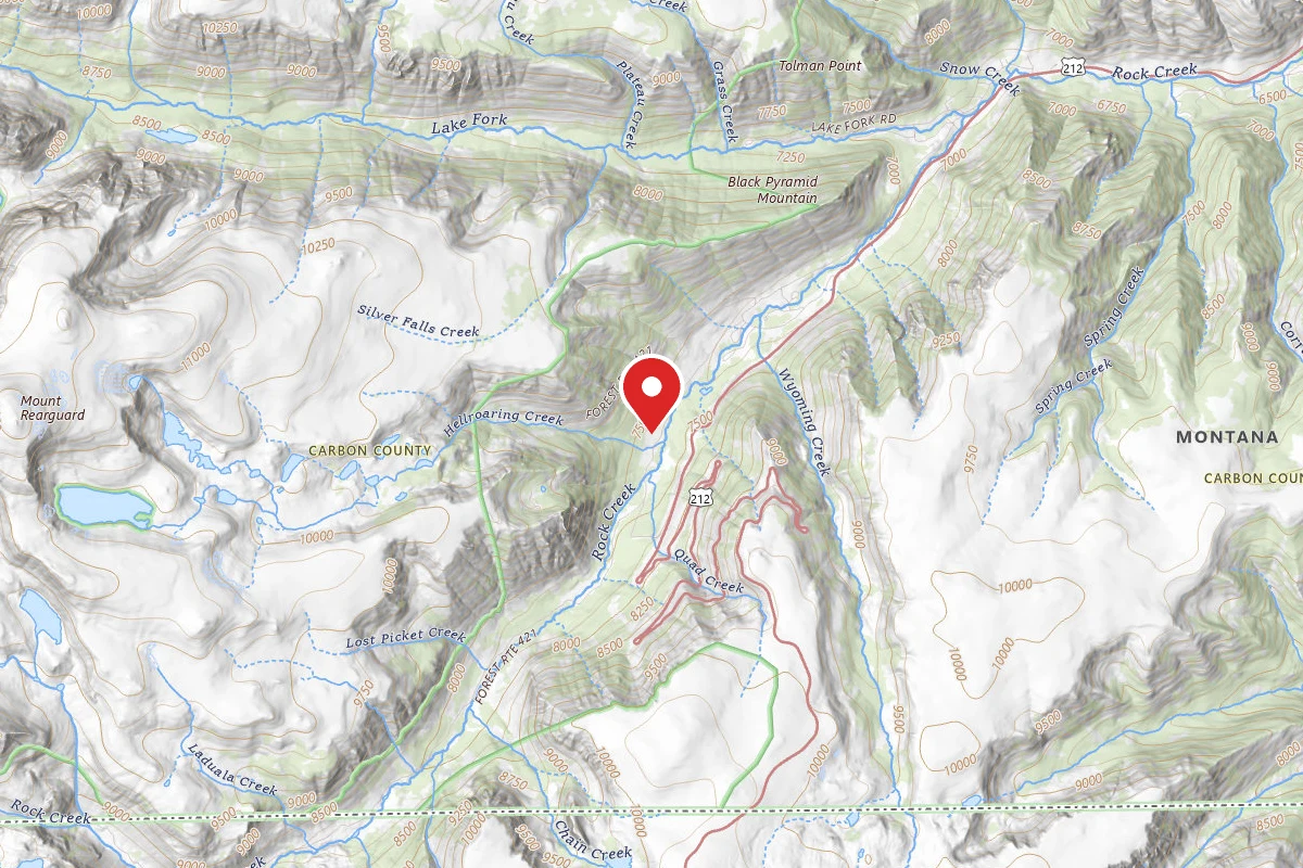 Custer Gallatin Dispersed Campsite BRD2421-051