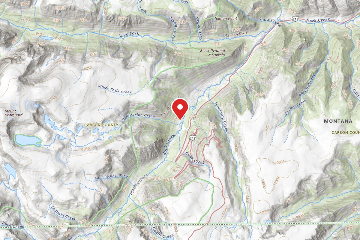 Custer Gallatin Dispersed Campsite BRD2421-052