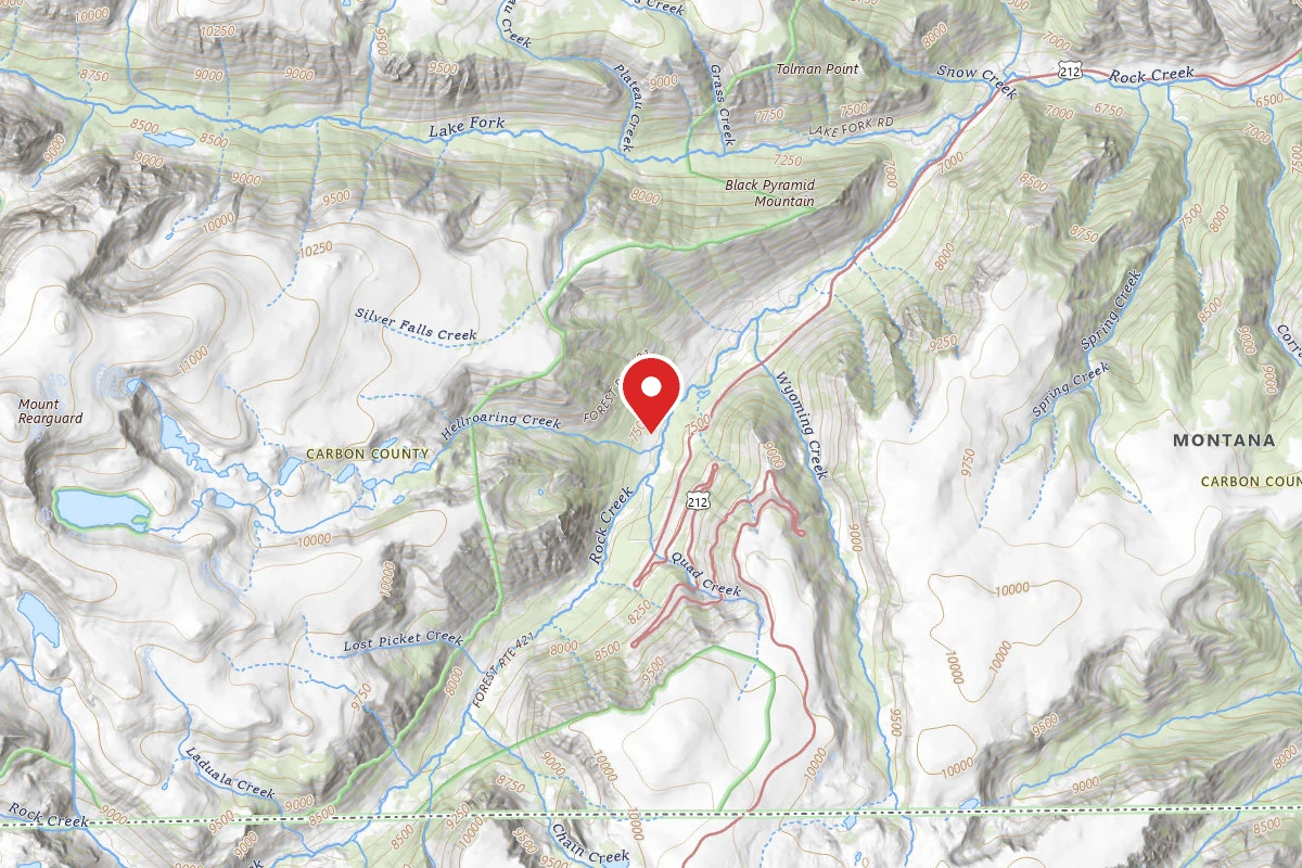 Custer Gallatin Dispersed Campsite BRD2421-053