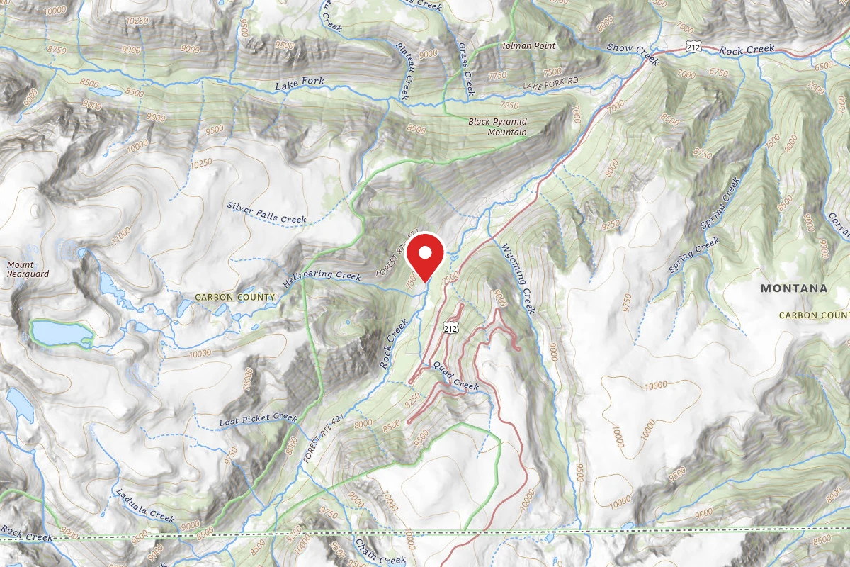 Custer Gallatin Dispersed Campsite BRD2421-054