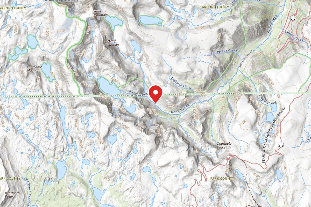 Custer Gallatin Dispersed Campsite BRD2421-057