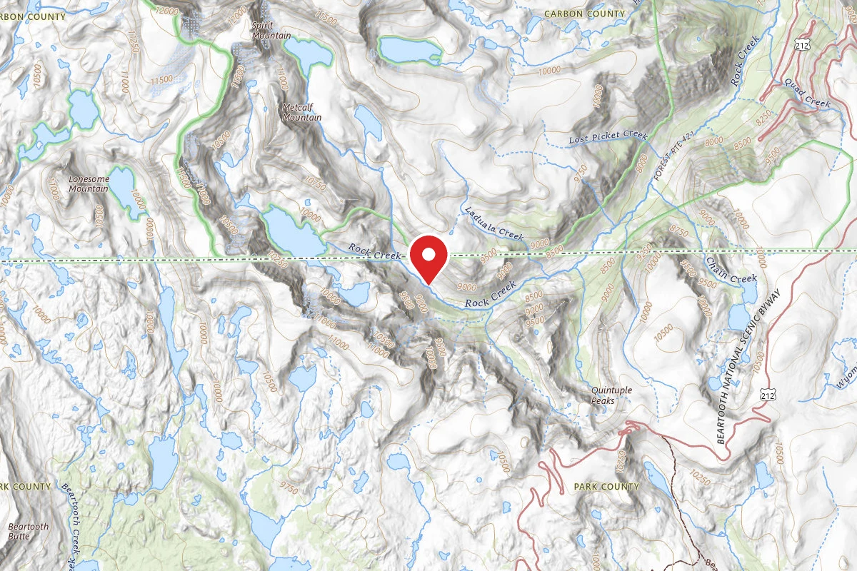Custer Gallatin Dispersed Campsite BRD2421-059
