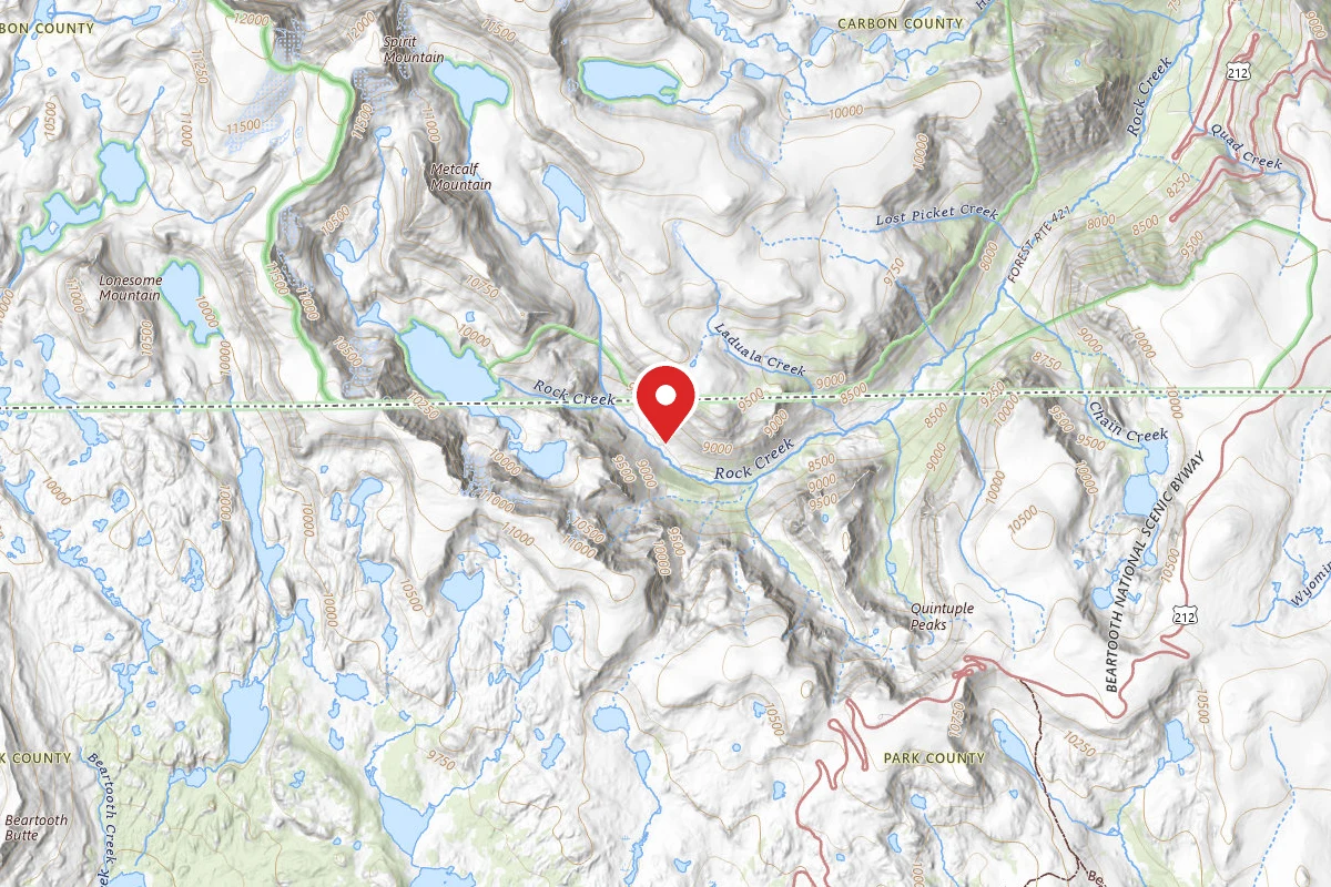 Custer Gallatin Dispersed Campsite BRD2421-060