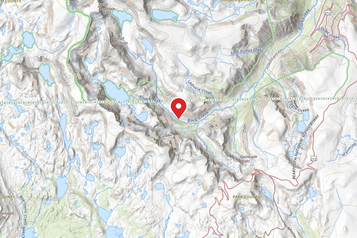 Custer Gallatin Dispersed Campsite BRD2421-061