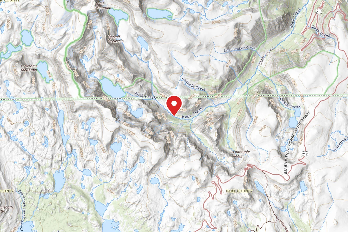 Custer Gallatin Dispersed Campsite BRD2421-062