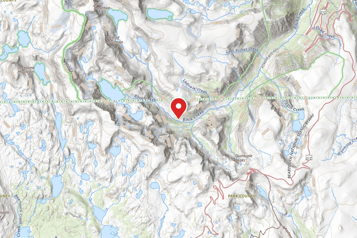 Custer Gallatin Dispersed Campsite BRD2421-063