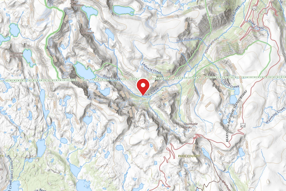 Custer Gallatin Dispersed Campsite BRD2421-064