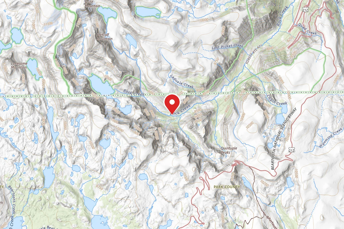 Custer Gallatin Dispersed Campsite BRD2421-065