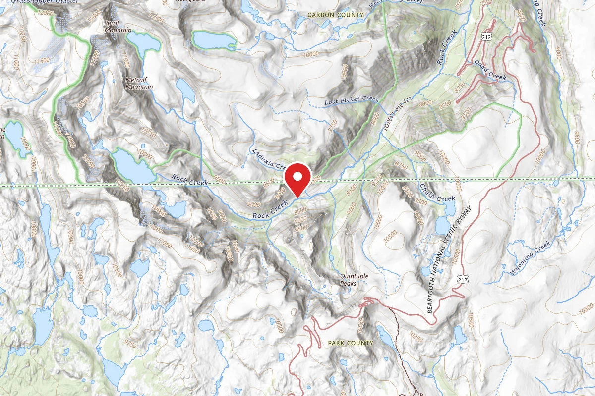Custer Gallatin Dispersed Campsite BRD2421-066