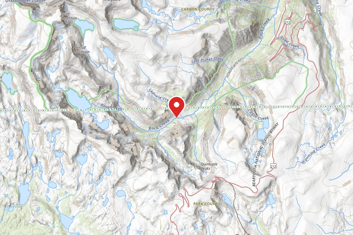 Custer Gallatin Dispersed Campsite BRD2421-068