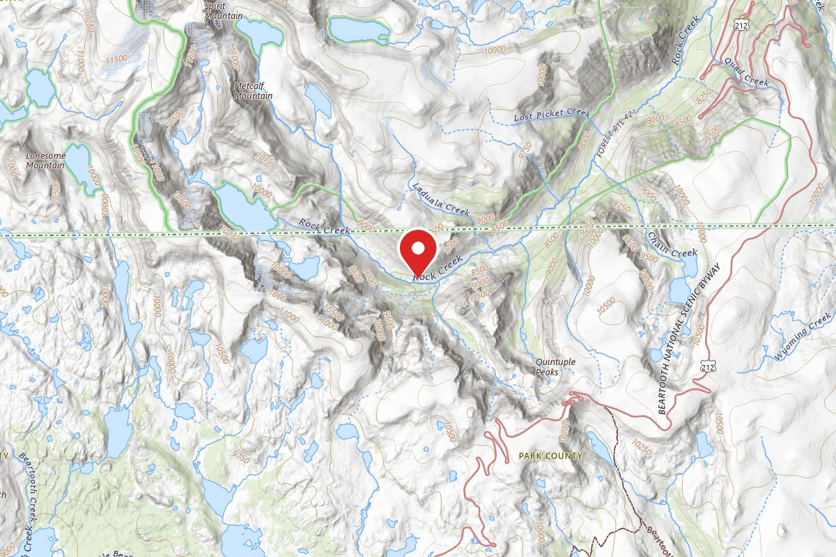 Custer Gallatin Dispersed Campsite BRD2421-068