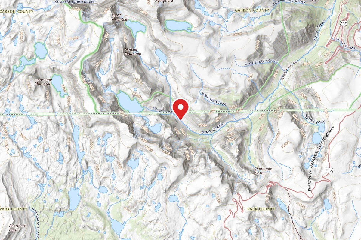 Custer Gallatin Dispersed Campsite BRD2421-070