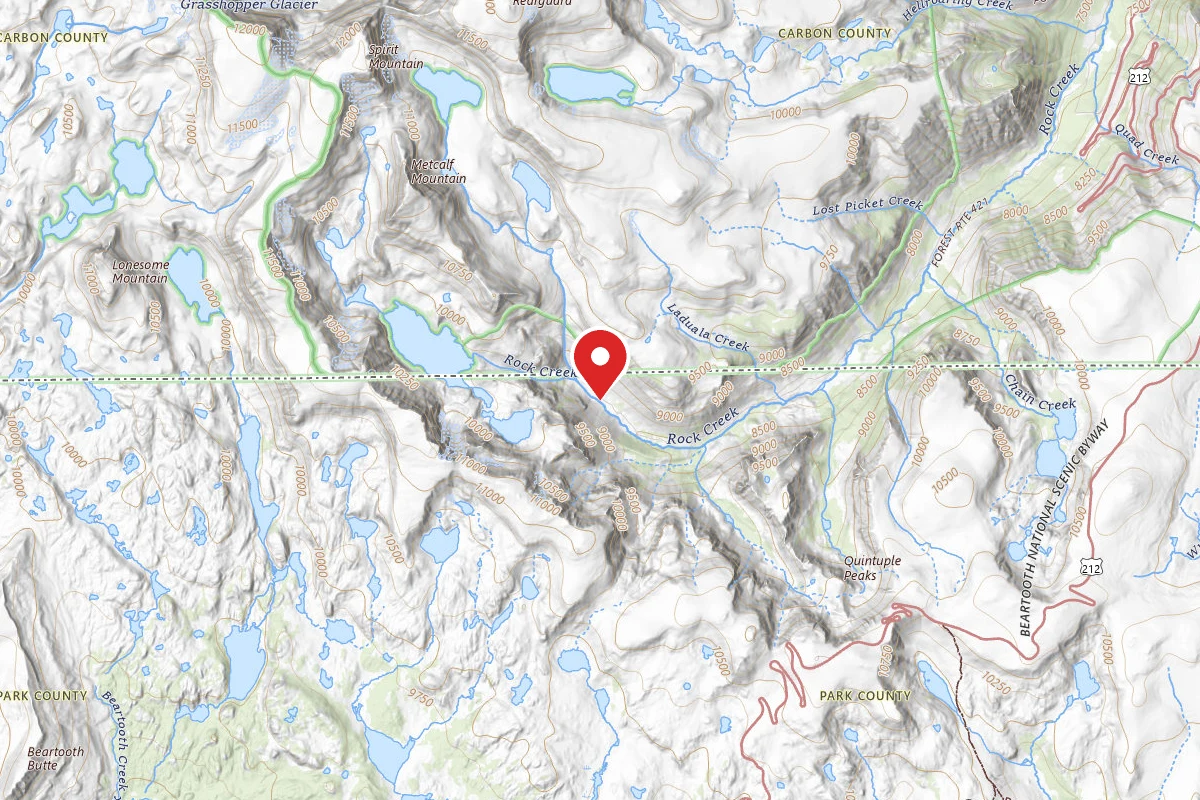 Custer Gallatin Dispersed Campsite BRD2421-071