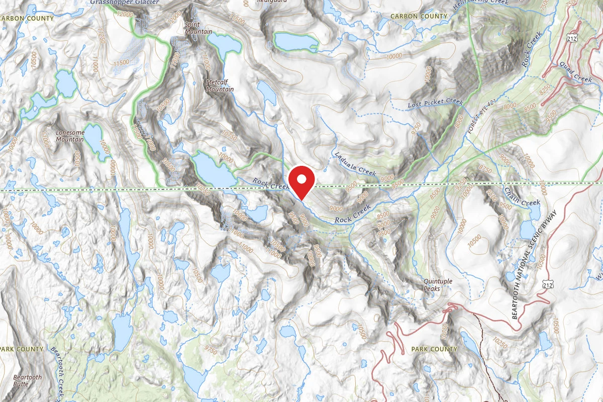 Custer Gallatin Dispersed Campsite BRD2421-072