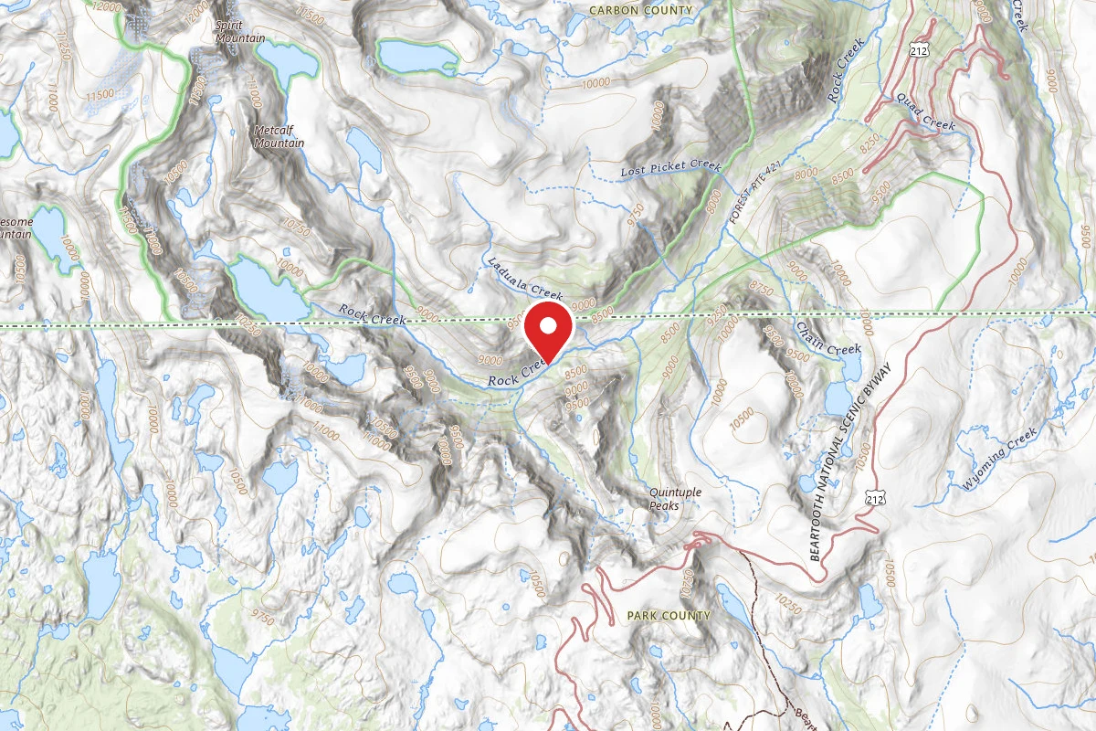 Custer Gallatin Dispersed Campsite BRD2421-073