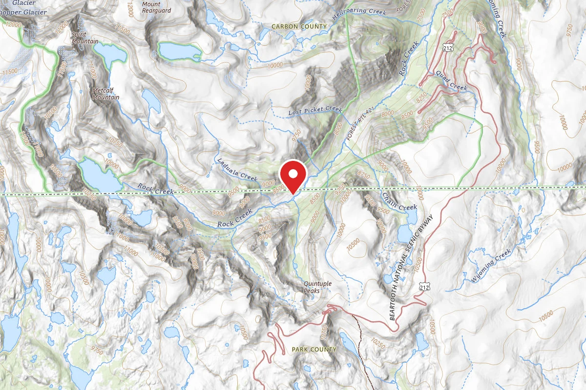 Custer Gallatin Dispersed Campsite BRD2421-075
