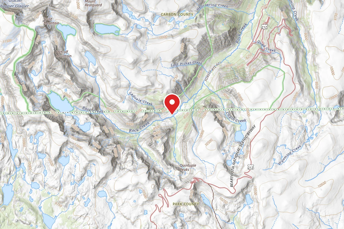 Custer Gallatin Dispersed Campsite BRD2421-076