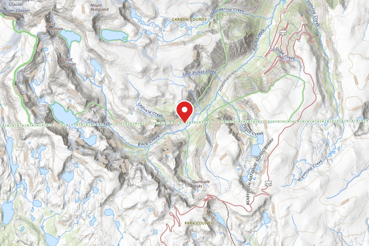 Custer Gallatin Dispersed Campsite BRD2421-078