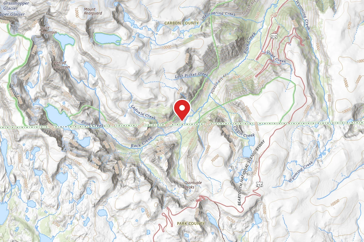 Custer Gallatin Dispersed Campsite BRD2421-080