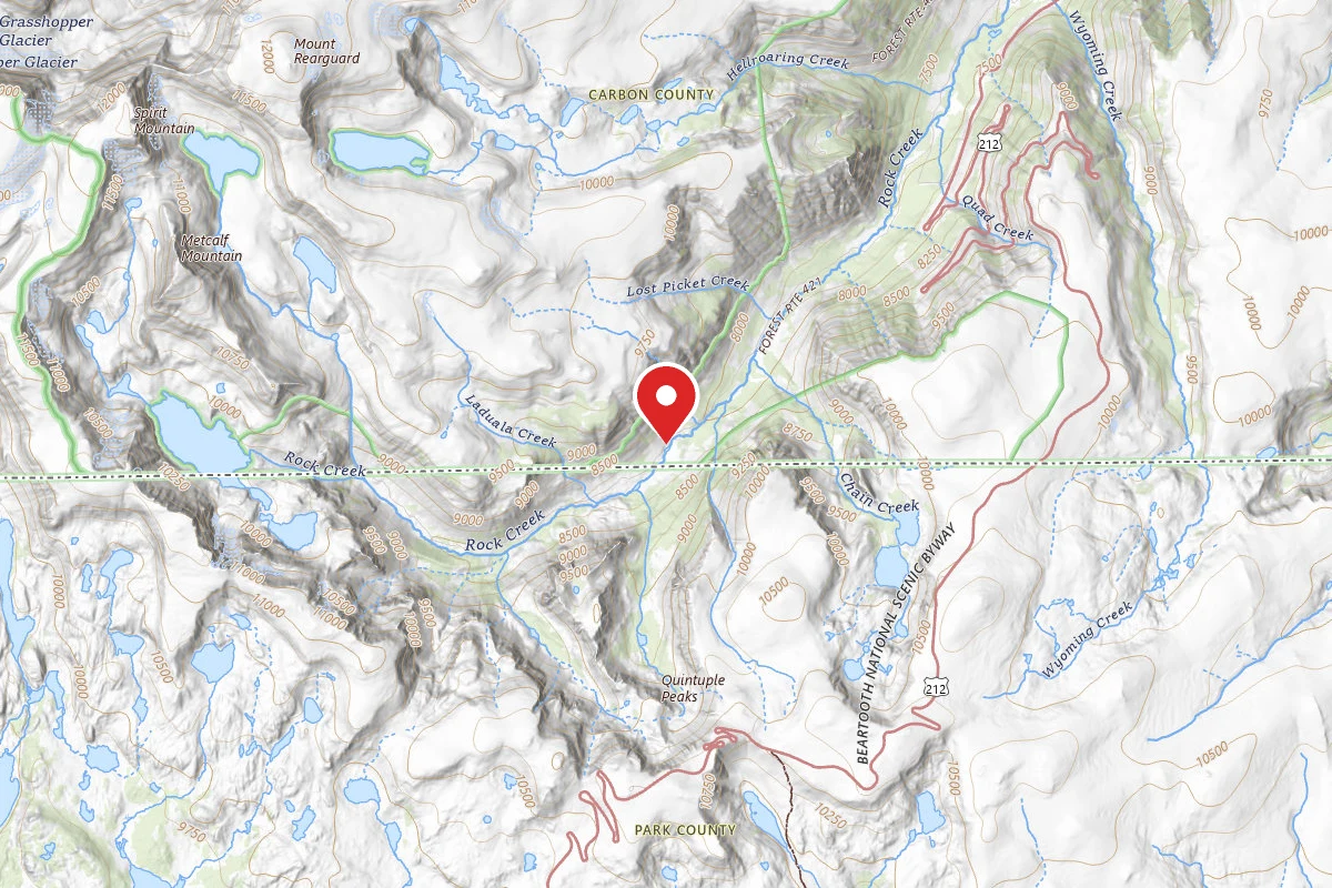Custer Gallatin Dispersed Campsite BRD2421-081