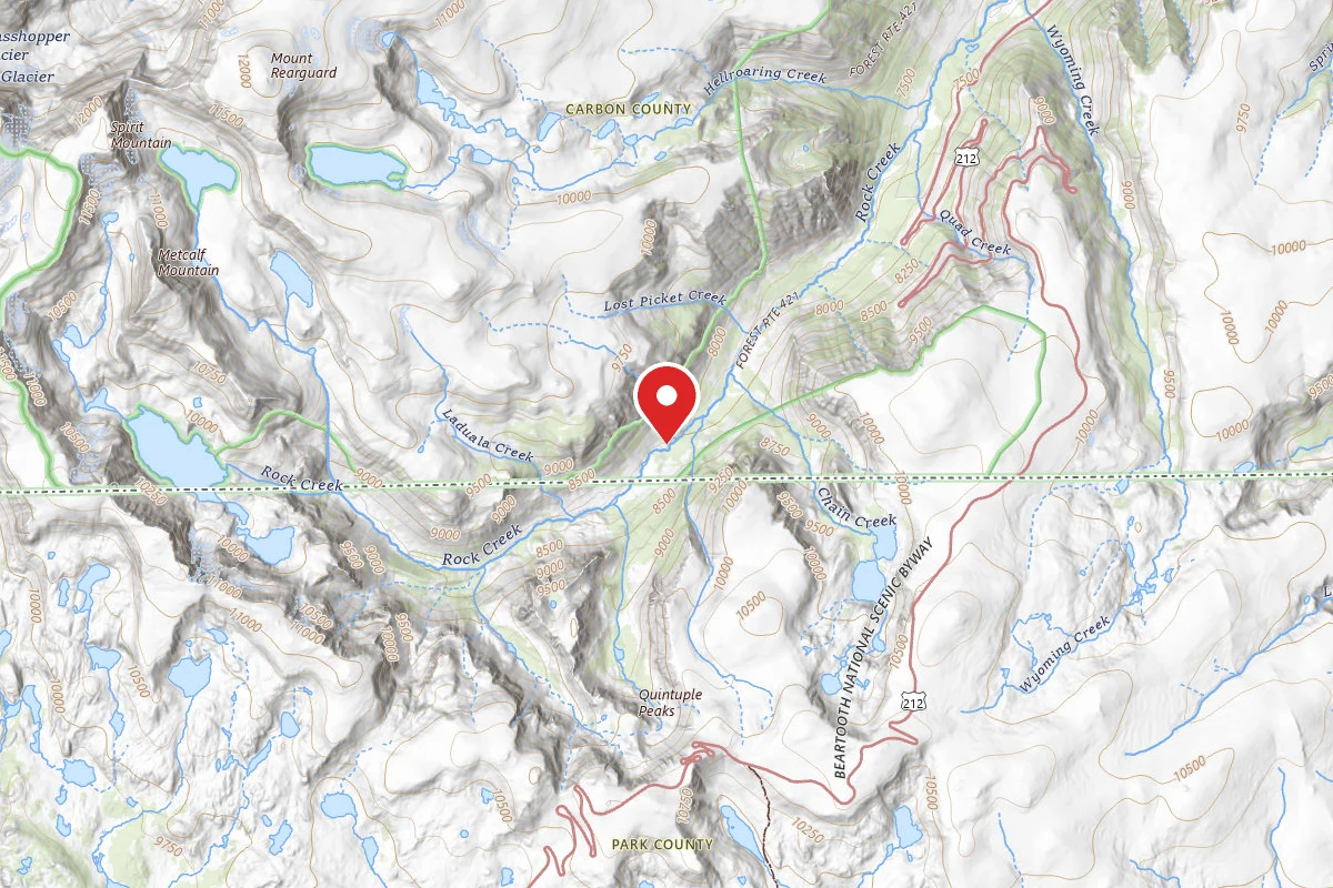Custer Gallatin Dispersed Campsite BRD242121-001