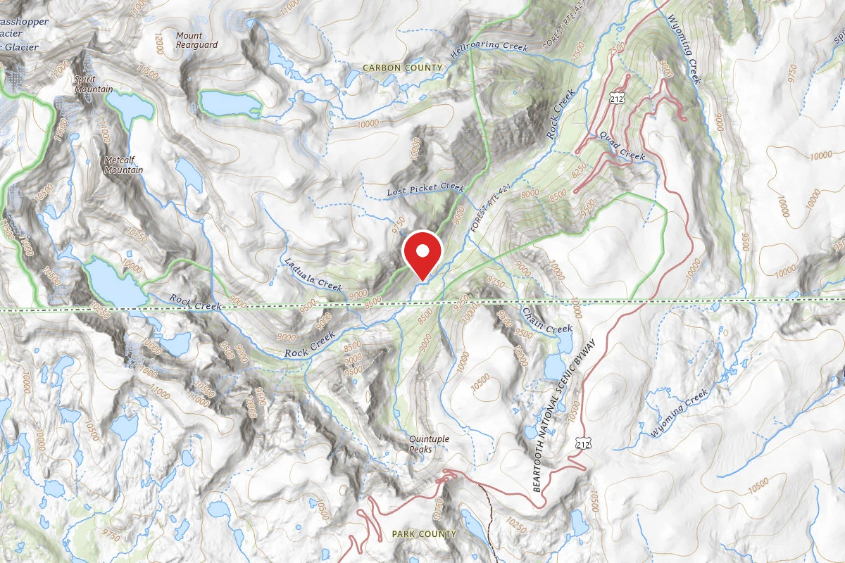 Custer Gallatin Dispersed Campsite BRD242121-002