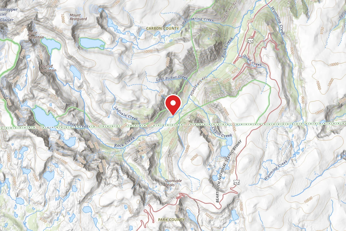 Custer Gallatin Dispersed Campsite BRD242121-006