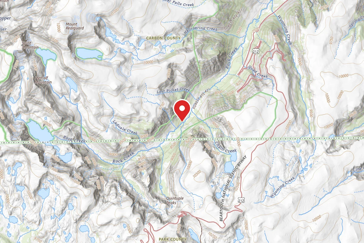 Custer Gallatin Dispersed Campsite BRD242120-001