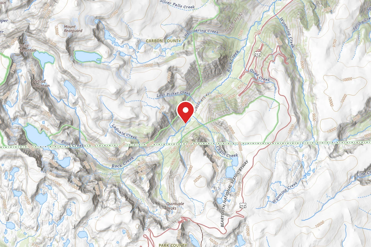Custer Gallatin Dispersed Campsite BRD242119-003