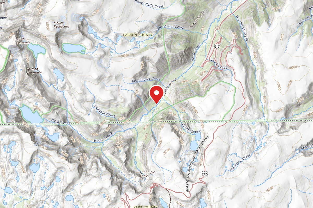 Custer Gallatin Dispersed Campsite BRD242119-005