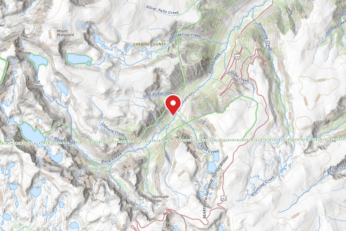 Custer Gallatin Dispersed Campsite BRD2421-085