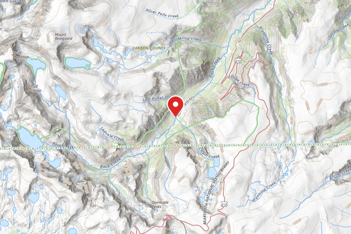 Custer Gallatin Dispersed Campsite BRD2421-086
