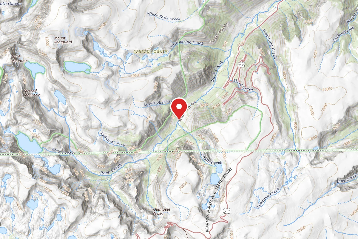 Custer Gallatin Dispersed Campsite BRD2421-088