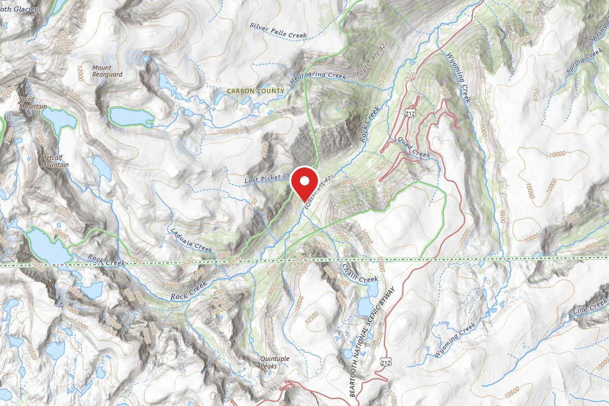 Custer Gallatin Dispersed Campsite BRD2421-090