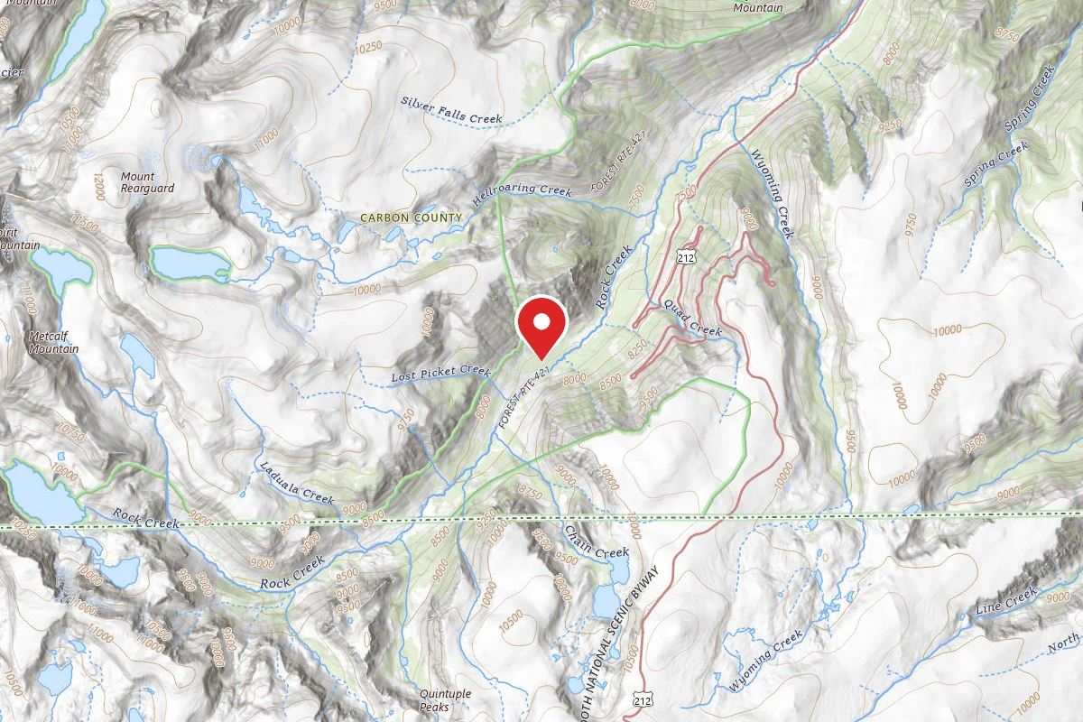 Custer Gallatin Dispersed Campsite BRD242115-003