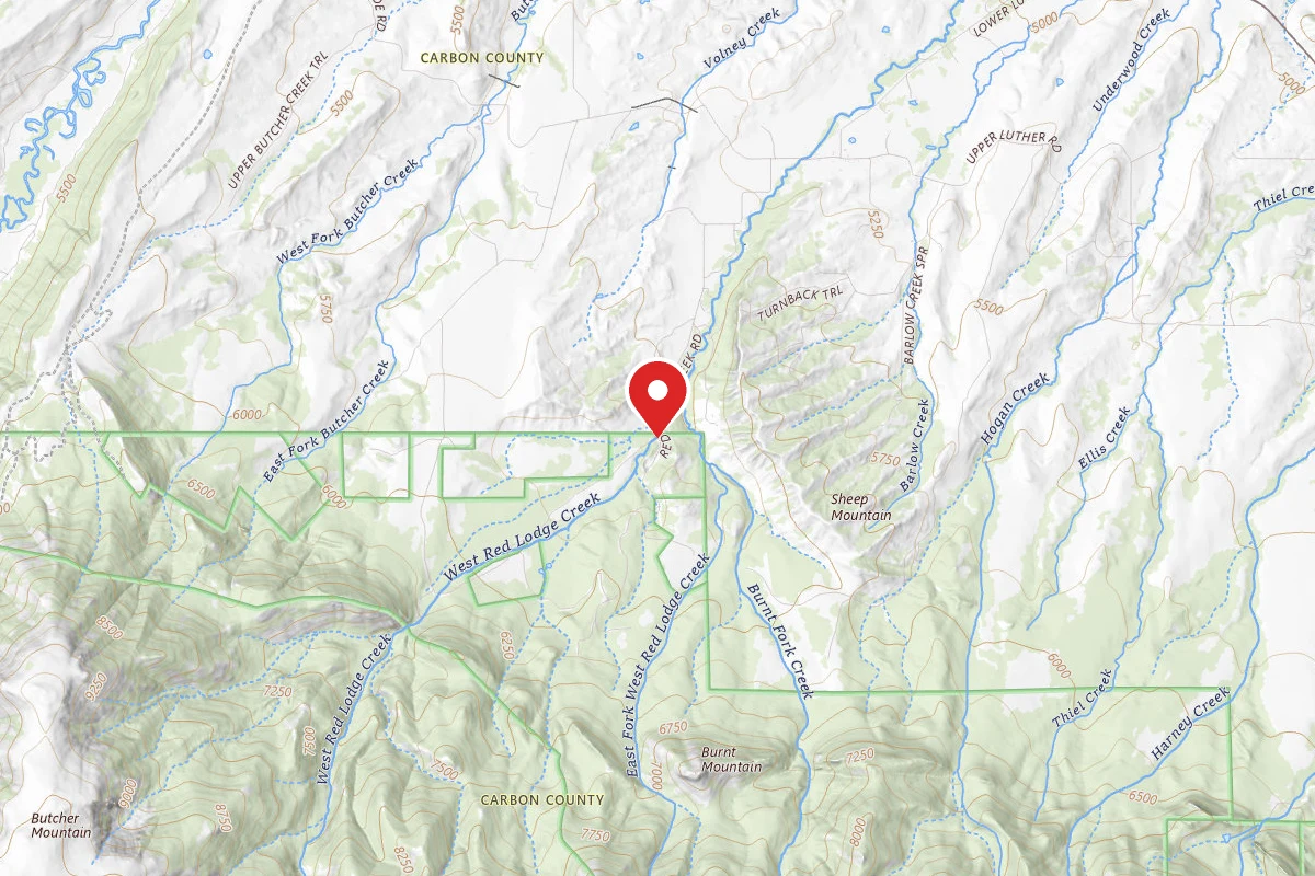 Custer Gallatin Dispersed Campsite BRD2141-013