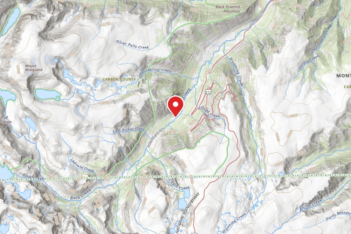 Custer Gallatin Dispersed Campsite BRD242115B3-002