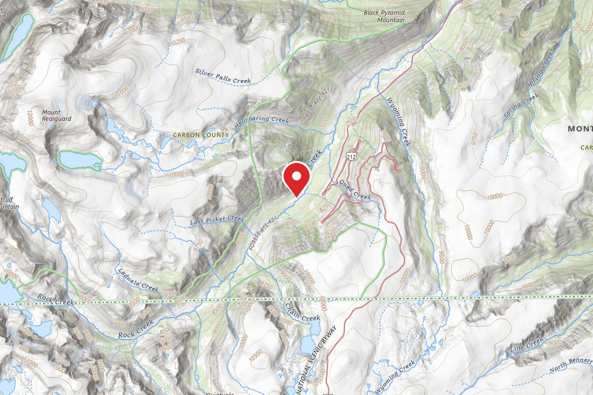 Custer Gallatin Dispersed Campsite BRD242115B3-003