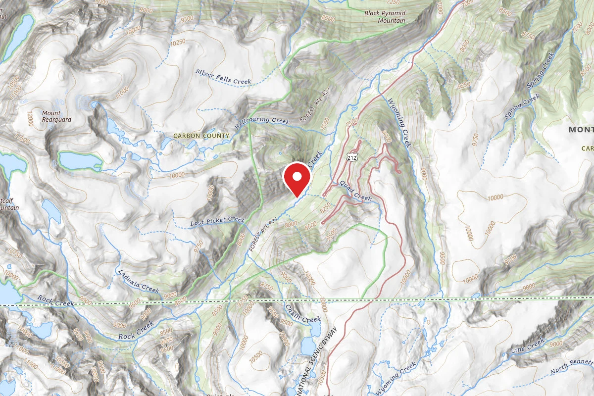 Custer Gallatin Dispersed Campsite BRD242115B3-004
