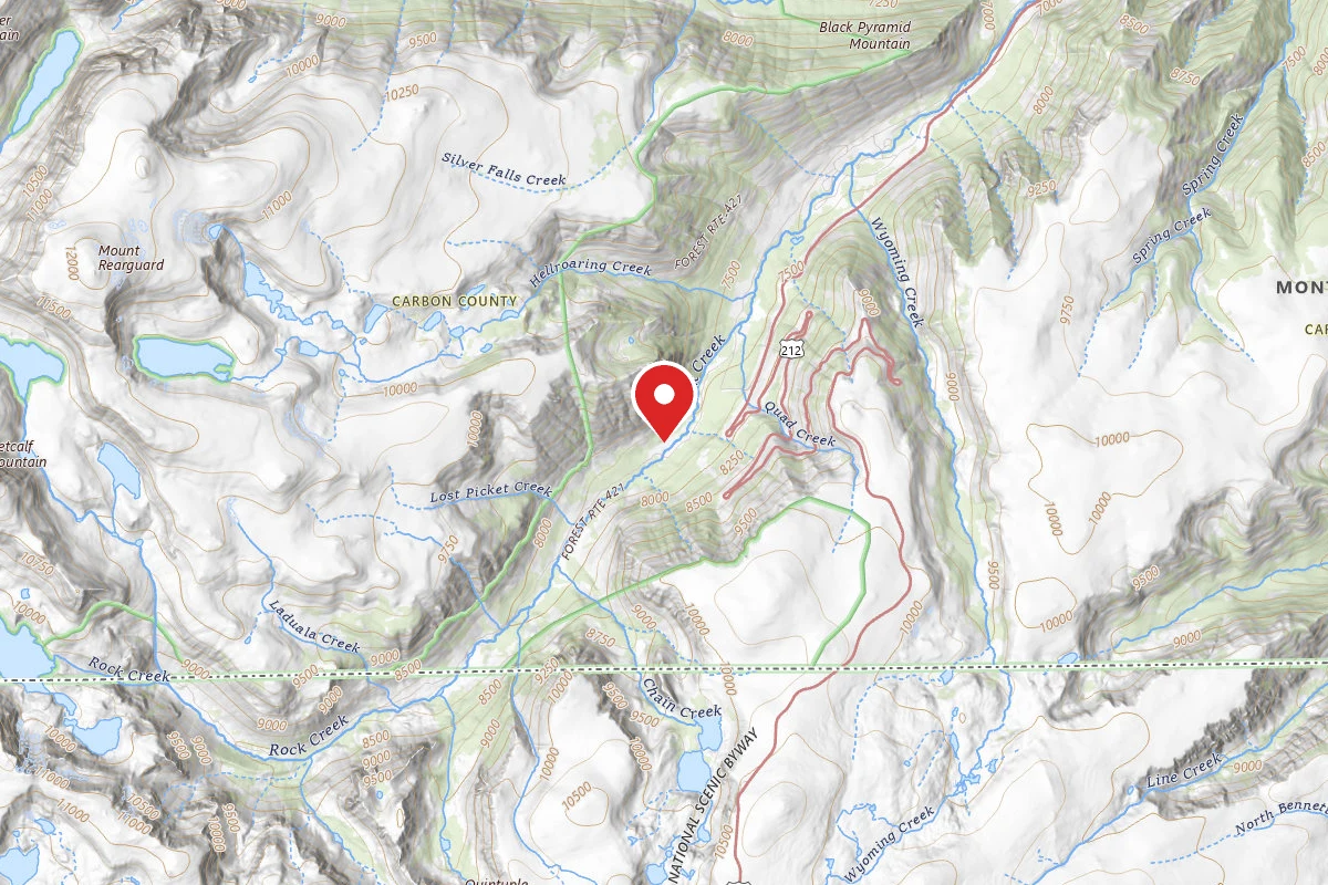 Custer Gallatin Dispersed Campsite BRD242115B3-010