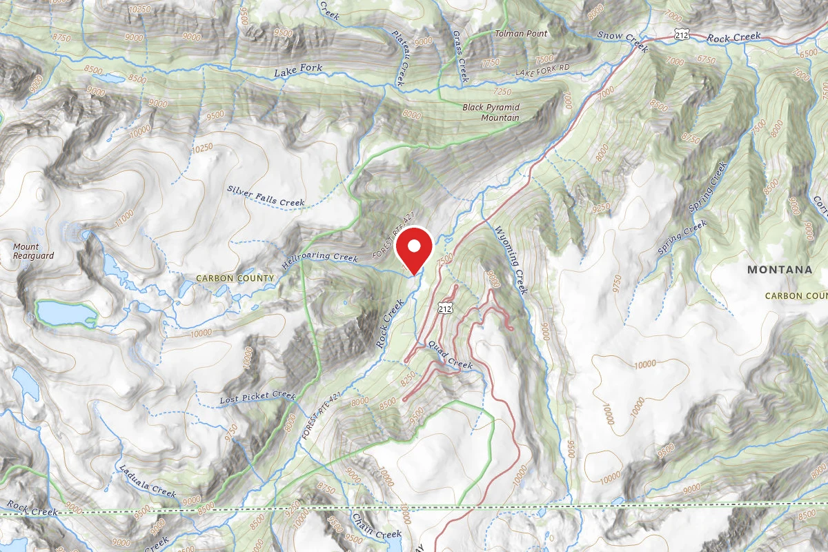 Custer Gallatin Dispersed Campsite BRD2421-039