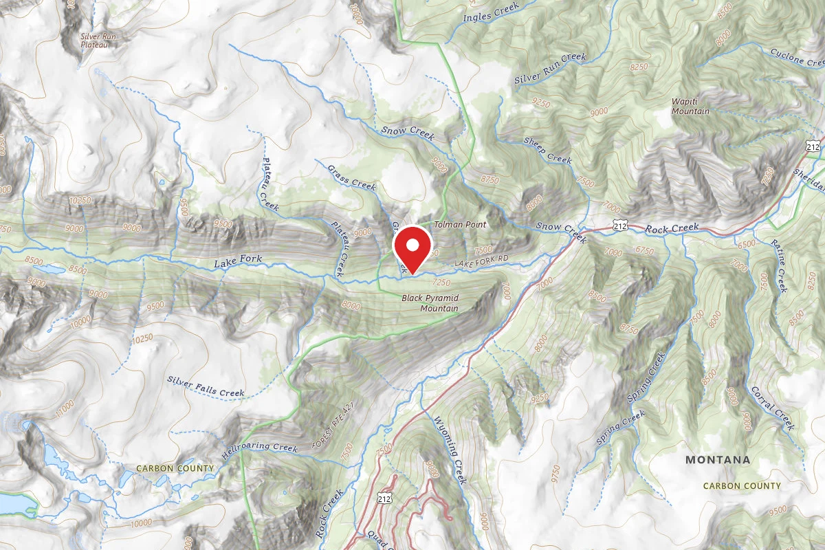 Custer Gallatin Dispersed Campsite BRD2346-001