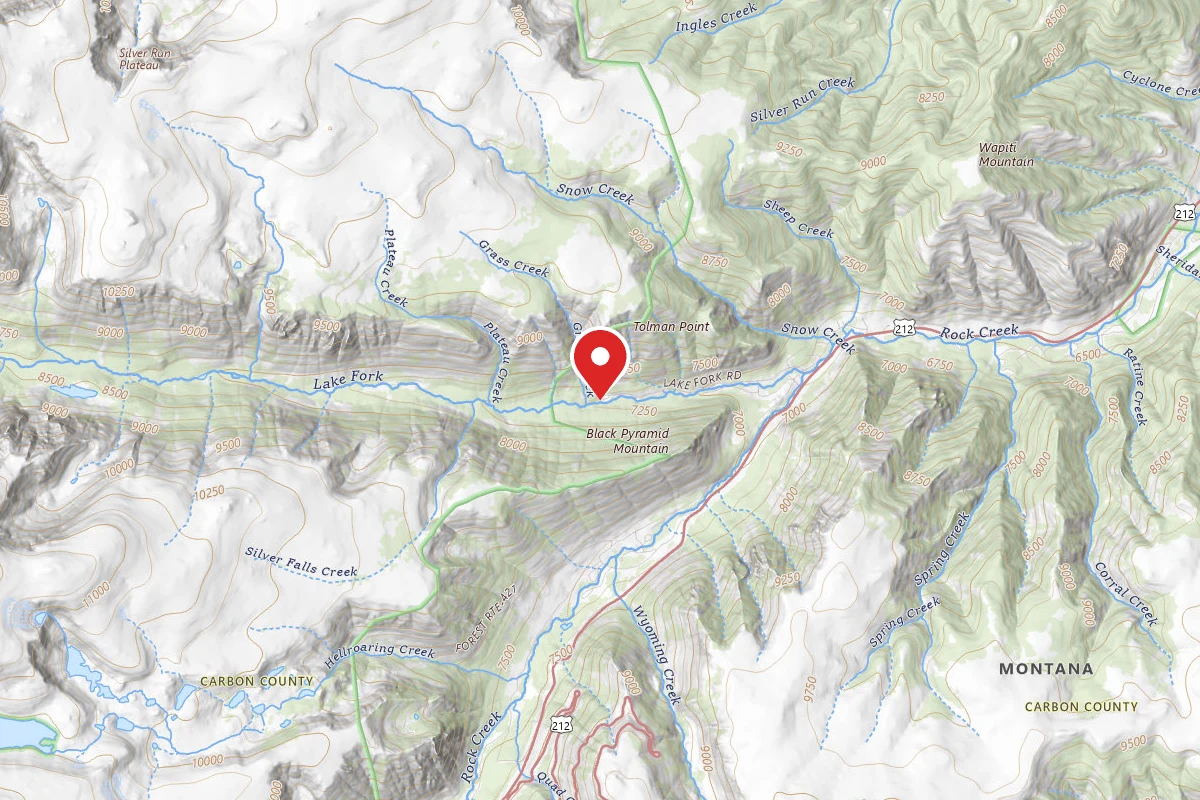 Custer Gallatin Dispersed Campsite BRD2346-002