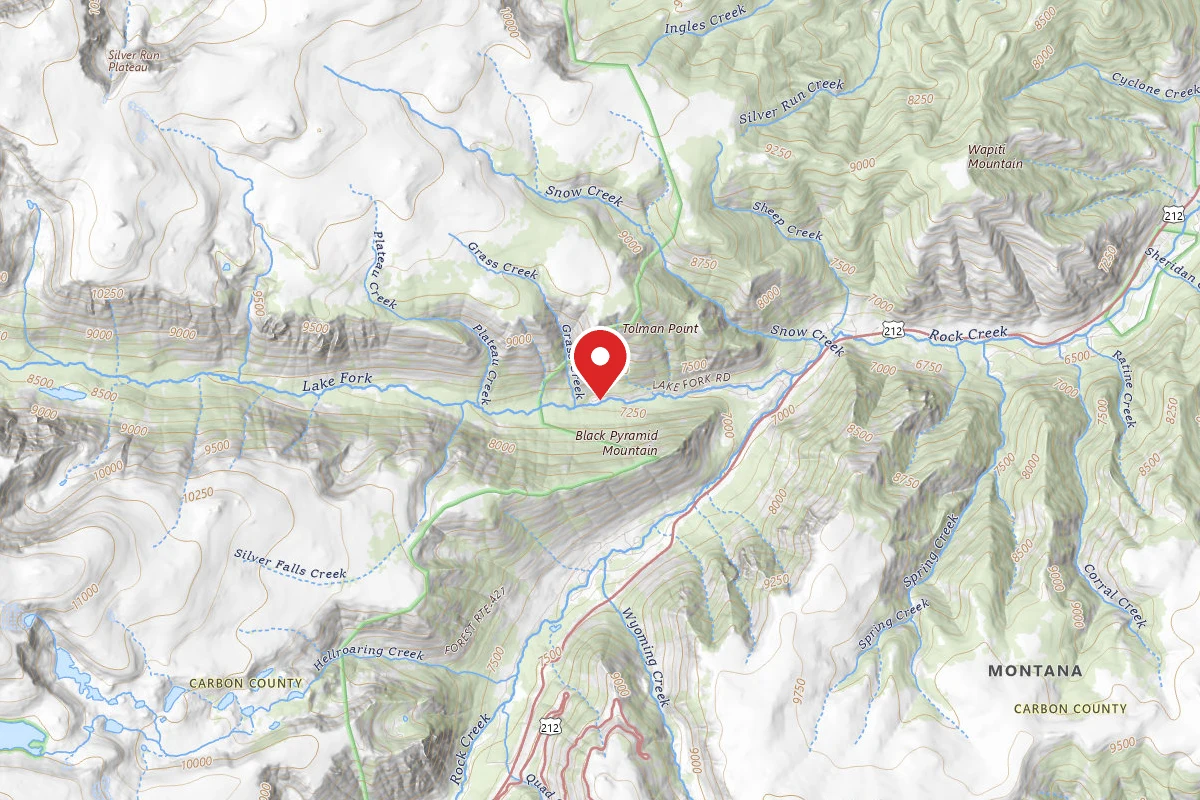Custer Gallatin Dispersed Campsite BRD2346-003