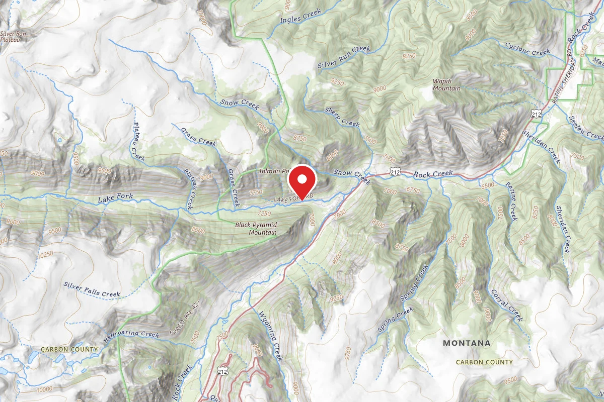 Custer Gallatin Dispersed Campsite BRD2346-004