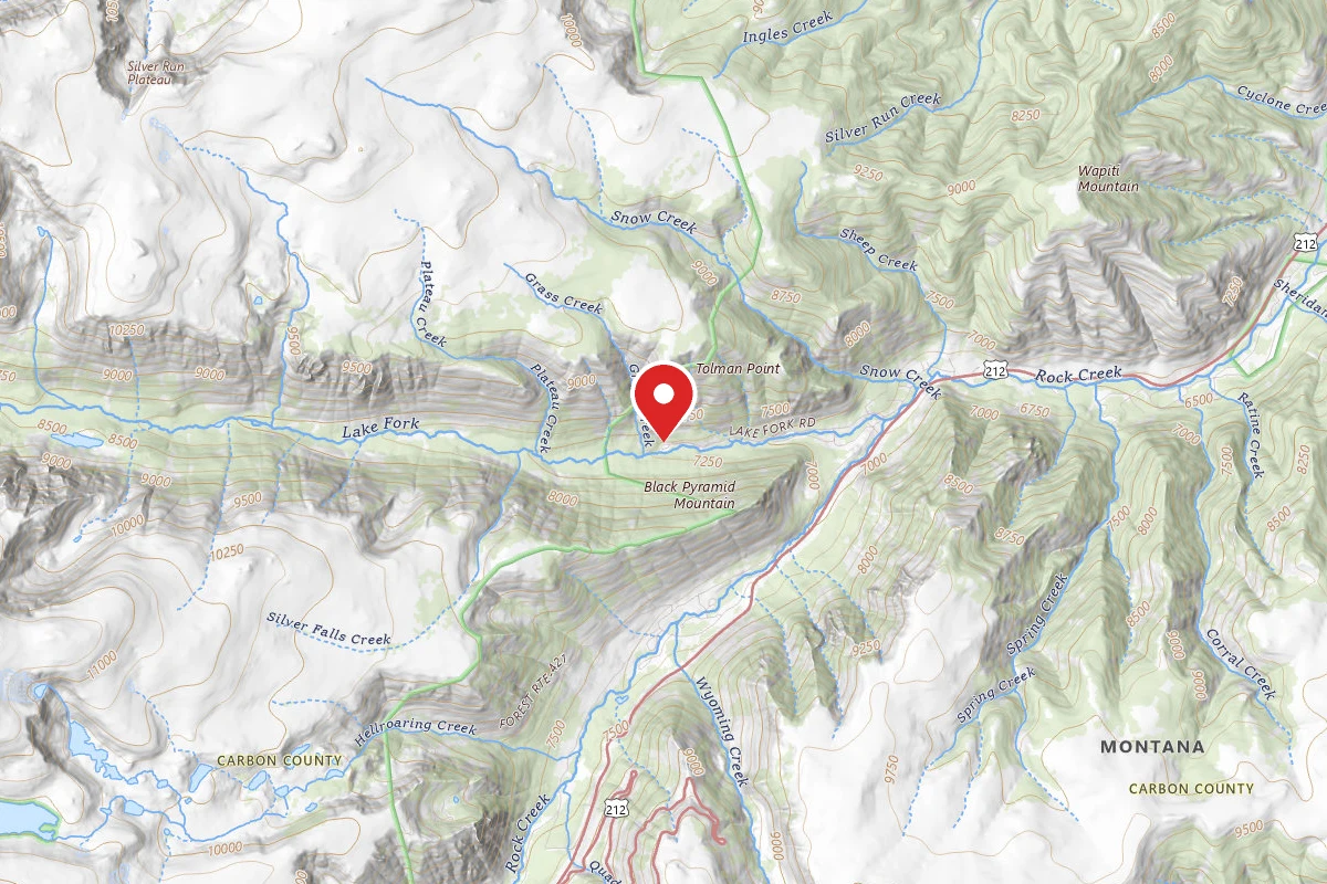Custer Gallatin Dispersed Campsite BRD2346-007