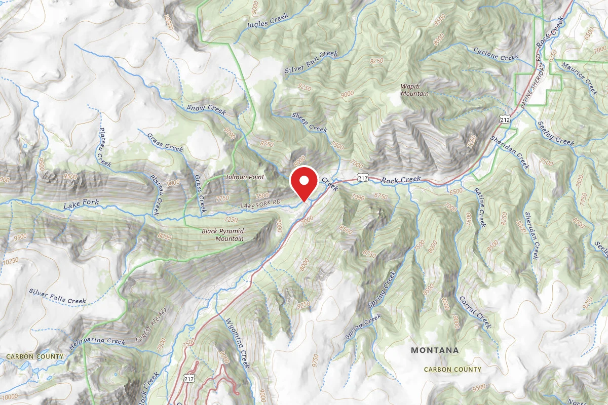 Custer Gallatin Dispersed Campsite BRD234614-002