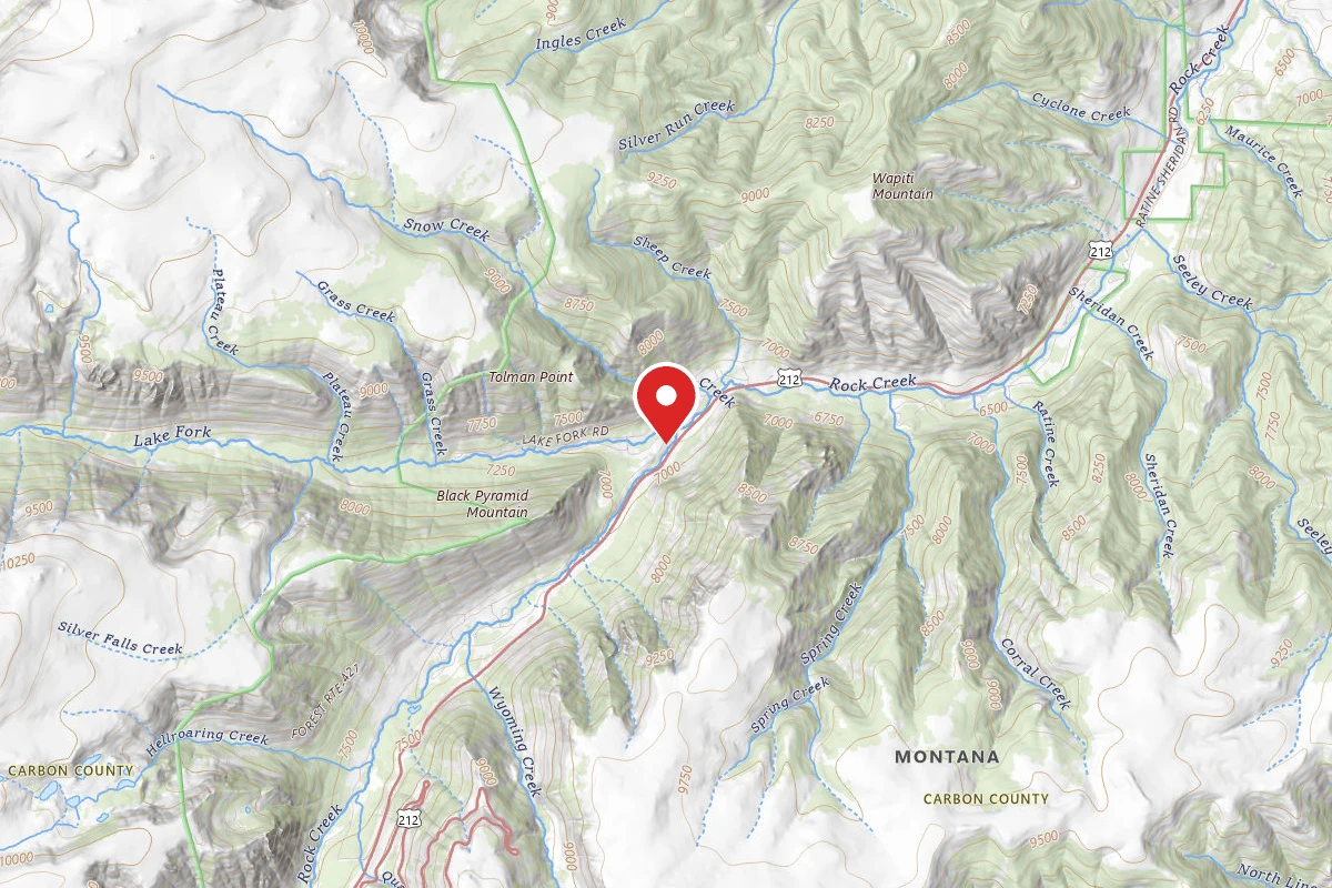 Custer Gallatin Dispersed Campsite BRD2005-006