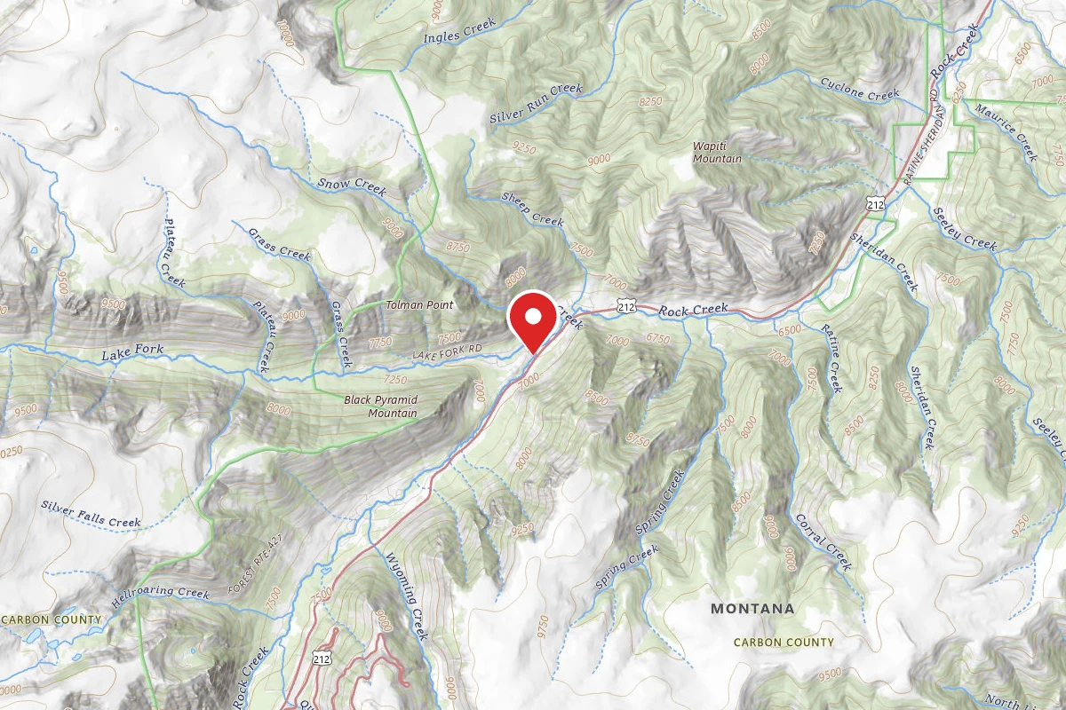 Custer Gallatin Dispersed Campsite BRD2005-009